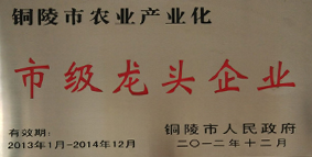 榮譽資質(zhì)